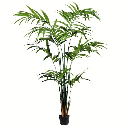 8ft. Potted Kentia Palm